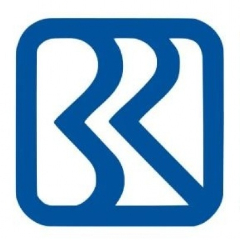 BRI Exchange Rates Today